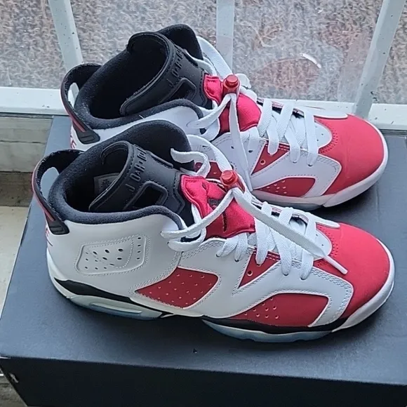 Air Jordan 6 retro