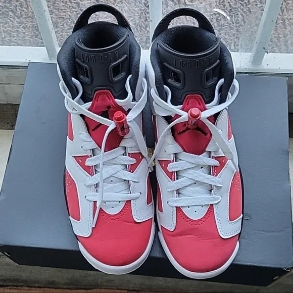 Air Jordan 6 retro