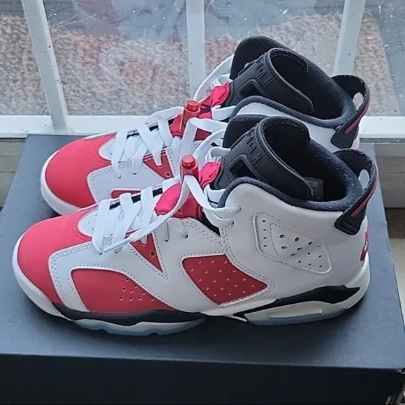 Air Jordan 6 retro