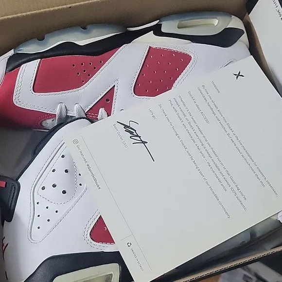 Air Jordan 6 retro