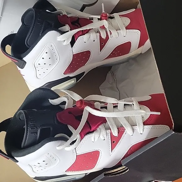 Air Jordan 6 retro