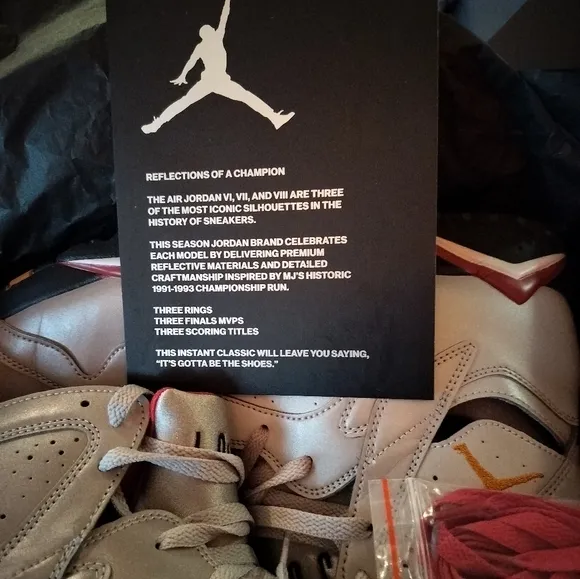 Air Jordan Retro 7 &quot;Reflection Of A Champion&quot; Size 12