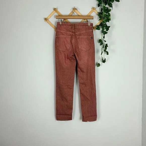 ANTHRO | PILCRO | The Vintage Straight Leg Jean Size 25 GUC J299