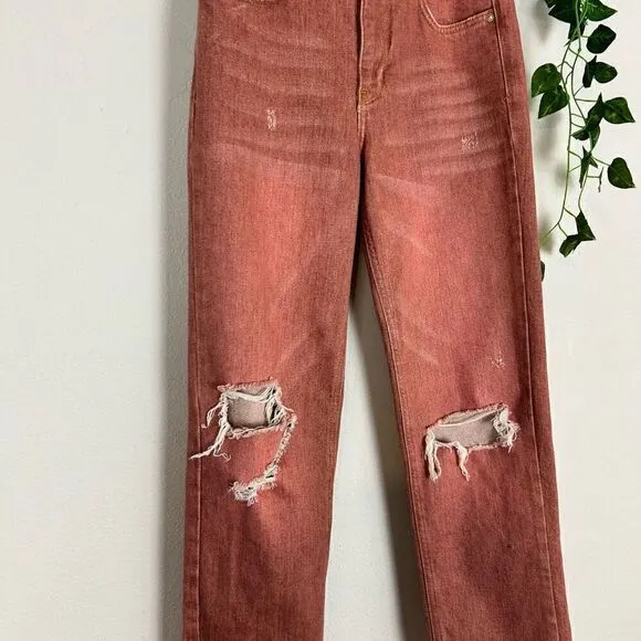 ANTHRO | PILCRO | The Vintage Straight Leg Jean Size 25 GUC J299