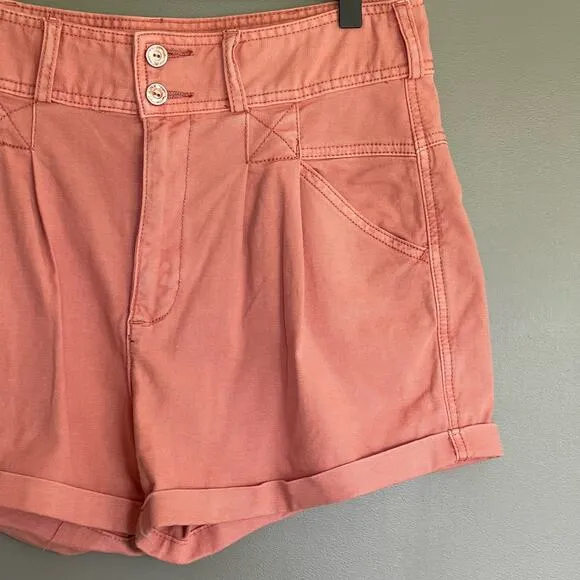 Anthropologie Pilcro Relaxed Pleat Shorts Size 29 Pink High Waist Pleated Cuffed