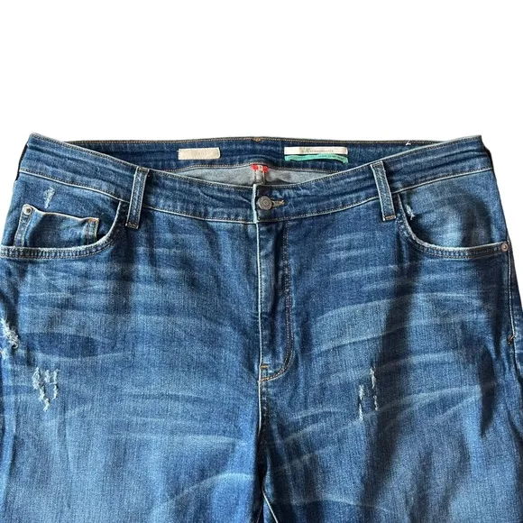 Anthropologie Pilcro The Selvedge Borrowed Boyfriend Jean | 18W