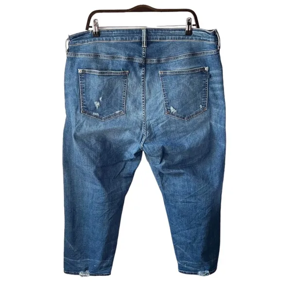 Anthropologie Pilcro The Selvedge Borrowed Boyfriend Jean | 18W