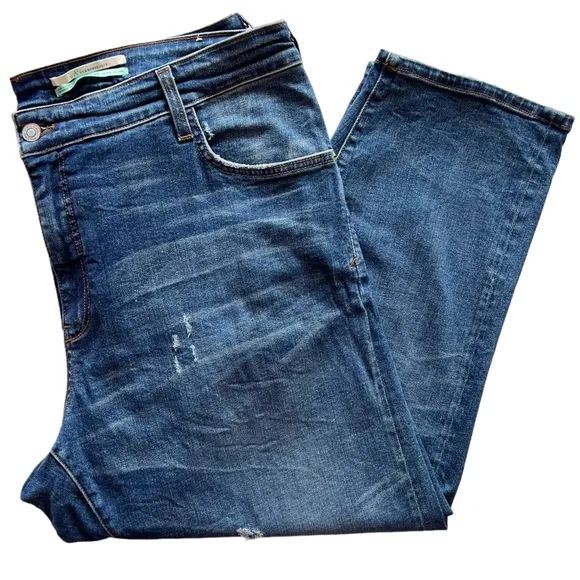 Anthropologie Pilcro The Selvedge Borrowed Boyfriend Jean | 18W