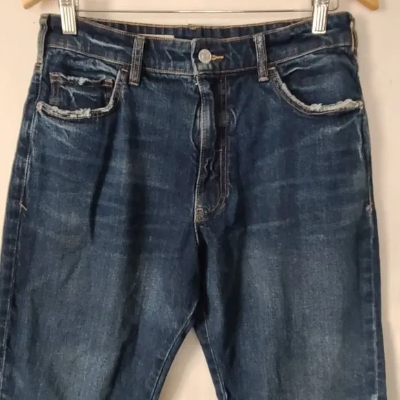 Anthropologie Pilcro The Vintage Straight Jeans Sz 27 Distressed Dark Wash NWOT