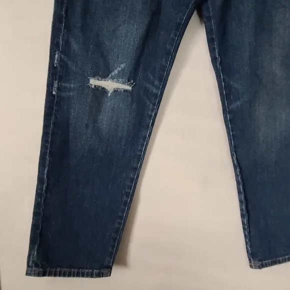 Anthropologie Pilcro The Vintage Straight Jeans Sz 27 Distressed Dark Wash NWOT