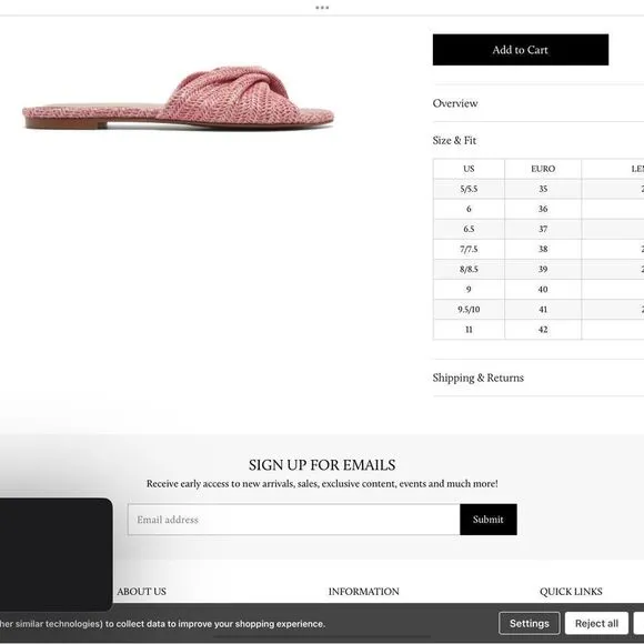 Anthropologie Silent D Raffia Flat Pink Sandals NWT Size 6 BIDRO Rubber Sole