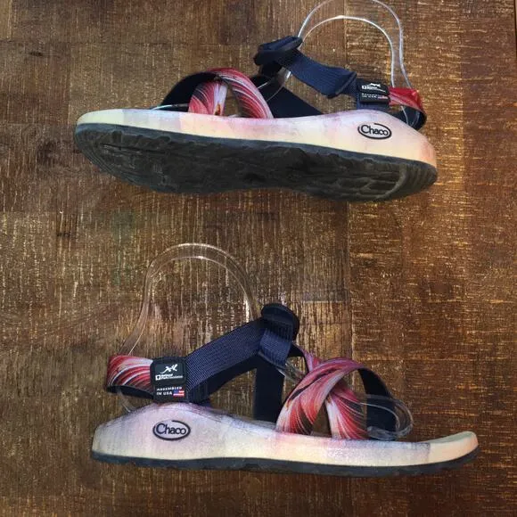 Chaco Mens 9 National Park Limited Edition Grand Canyon Z/Cloud Sandal