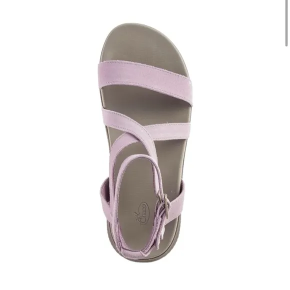 Chaco’s Suede Leather Rose Gladiator Sandals, Double Gold Buckle Women's Size 7