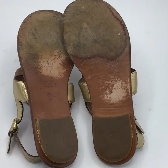 Coach Gold Sari Metallic Flowers Leather Sandals Size 8