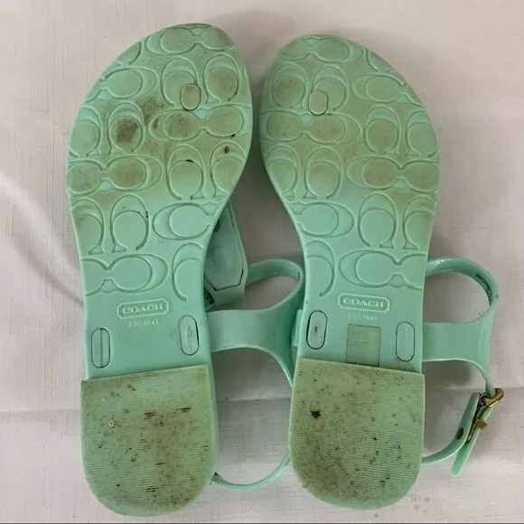 Coach Sandals Mint Green Phila Flat Flip Flops 7B