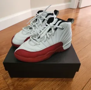 Jordan 12 Retro Sneakers