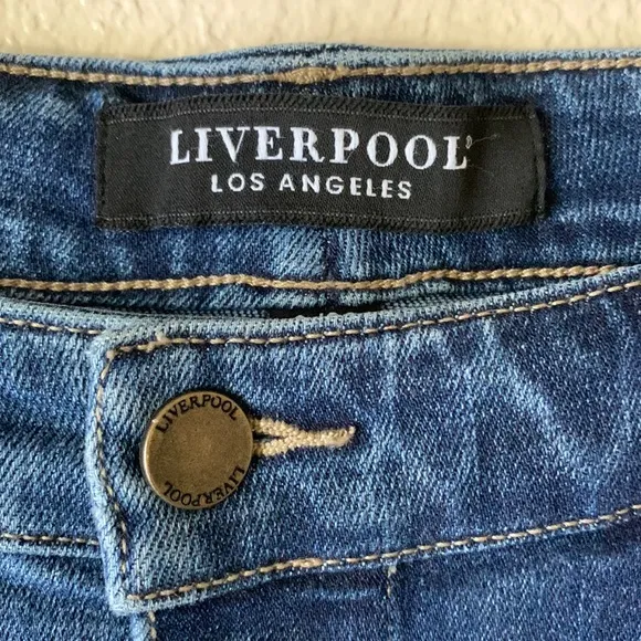 Liverpool Los Angeles High Rise A-Line Skirt Size 8/29
