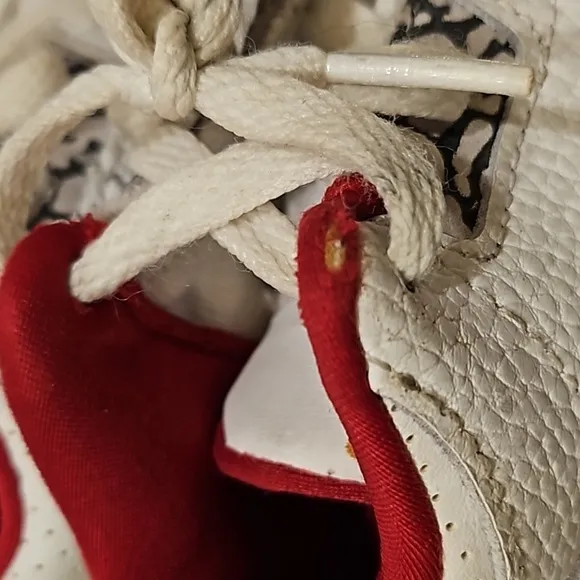 Nike Jordan Sneakers