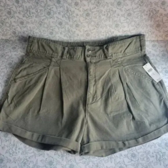 NWT Anthropologie Pilcro Relaxed Pleat Shorts | 32
