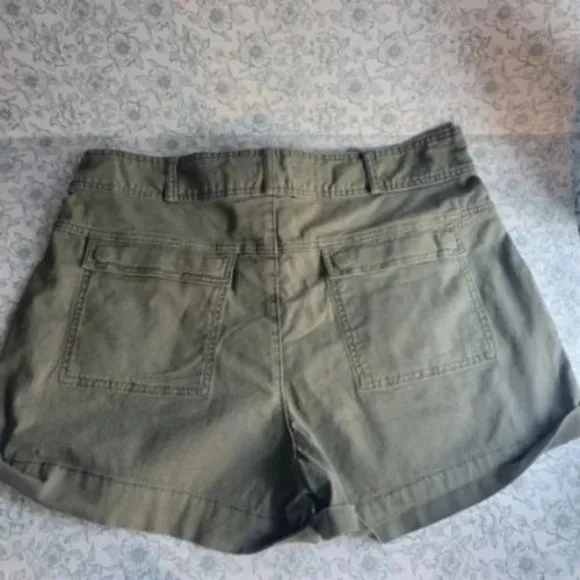 NWT Anthropologie Pilcro Relaxed Pleat Shorts | 32