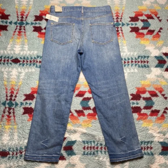 NWT Anthropologie Pilcro selvedge straight leg distressed jeans