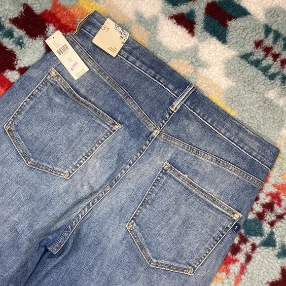 NWT Anthropologie Pilcro selvedge straight leg distressed jeans