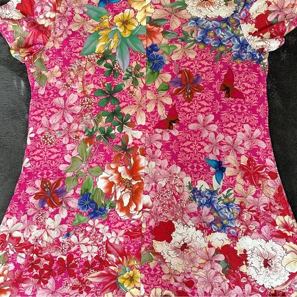 NWT Johnny Was The Janie Favorite Cap Sleeve Dress - Frame Multi Size XXL