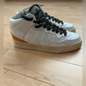 P448 Sneakers - NEW!