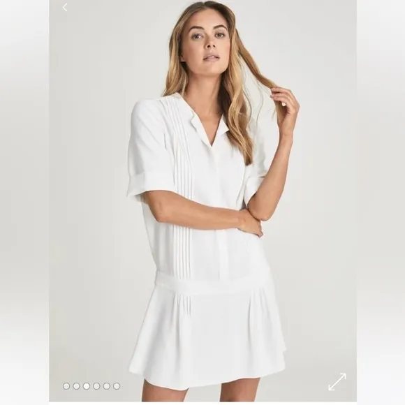 Reiss Drop Waist Ray Mini Dress. Size 10. NWT