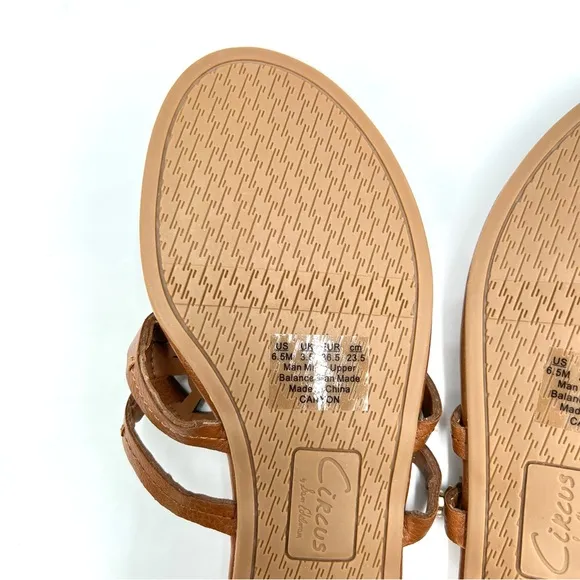 Sam Edelman Women's Circus Canyon Saddle Brown Flat Medallion Sandals 6.5