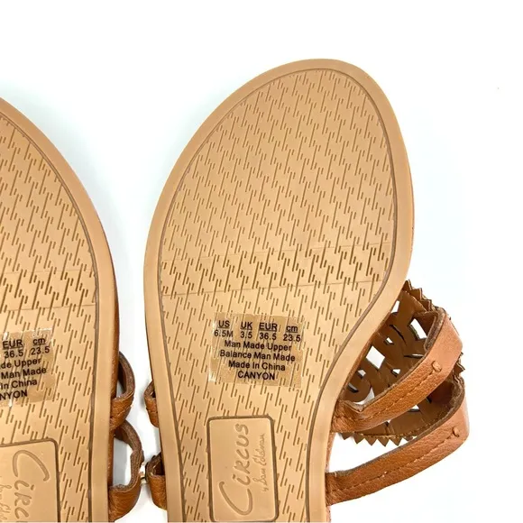 Sam Edelman Women's Circus Canyon Saddle Brown Flat Medallion Sandals 6.5