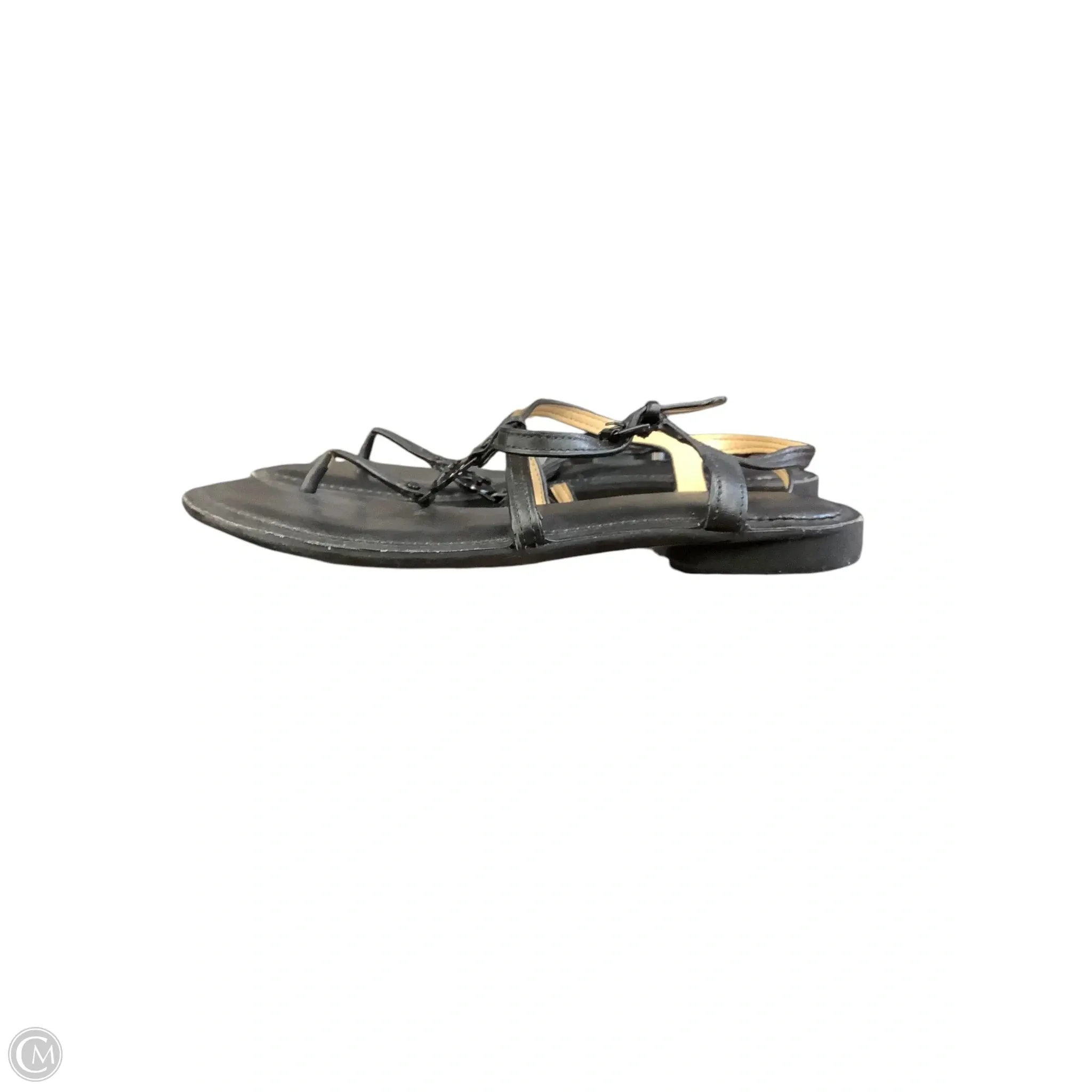 Sandals Flip Flops By Michael By Michael Kors In Black, Size: 5