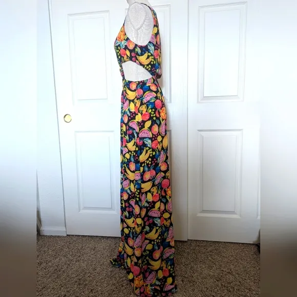 Show Me Your Mumu Tina Maxi Dress in Fruity Tango print