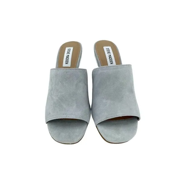 Steve Madden Dalis Grey Suede Leather Sandals Slip On Mule Clear Block Heel SZ 6