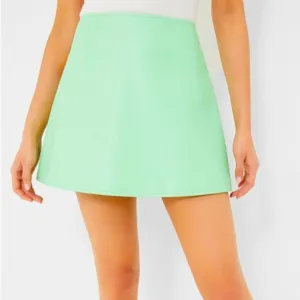 Tuckernuck Faux leather meg a line mini skirt size medium Mint chip green