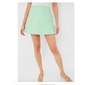 Tuckernuck Mint Chip Leather Meg Mini Skirt NWT Extra Large XL