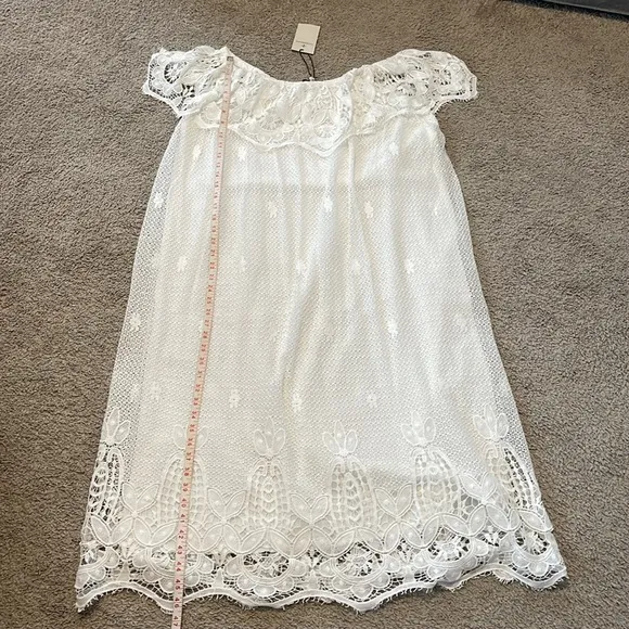 Tuckernuck White Lace Avalon Dress