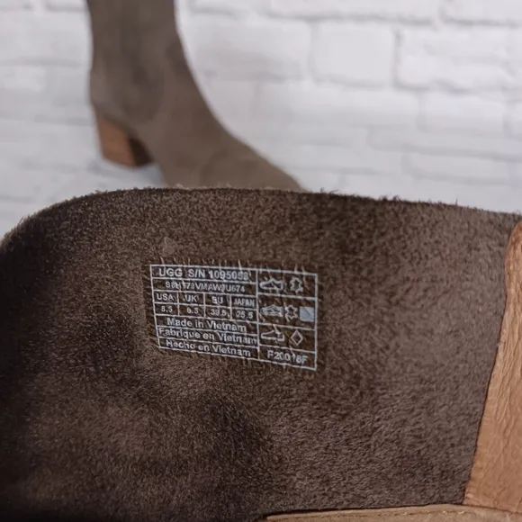 UGG Bandara brown suede ankle boots